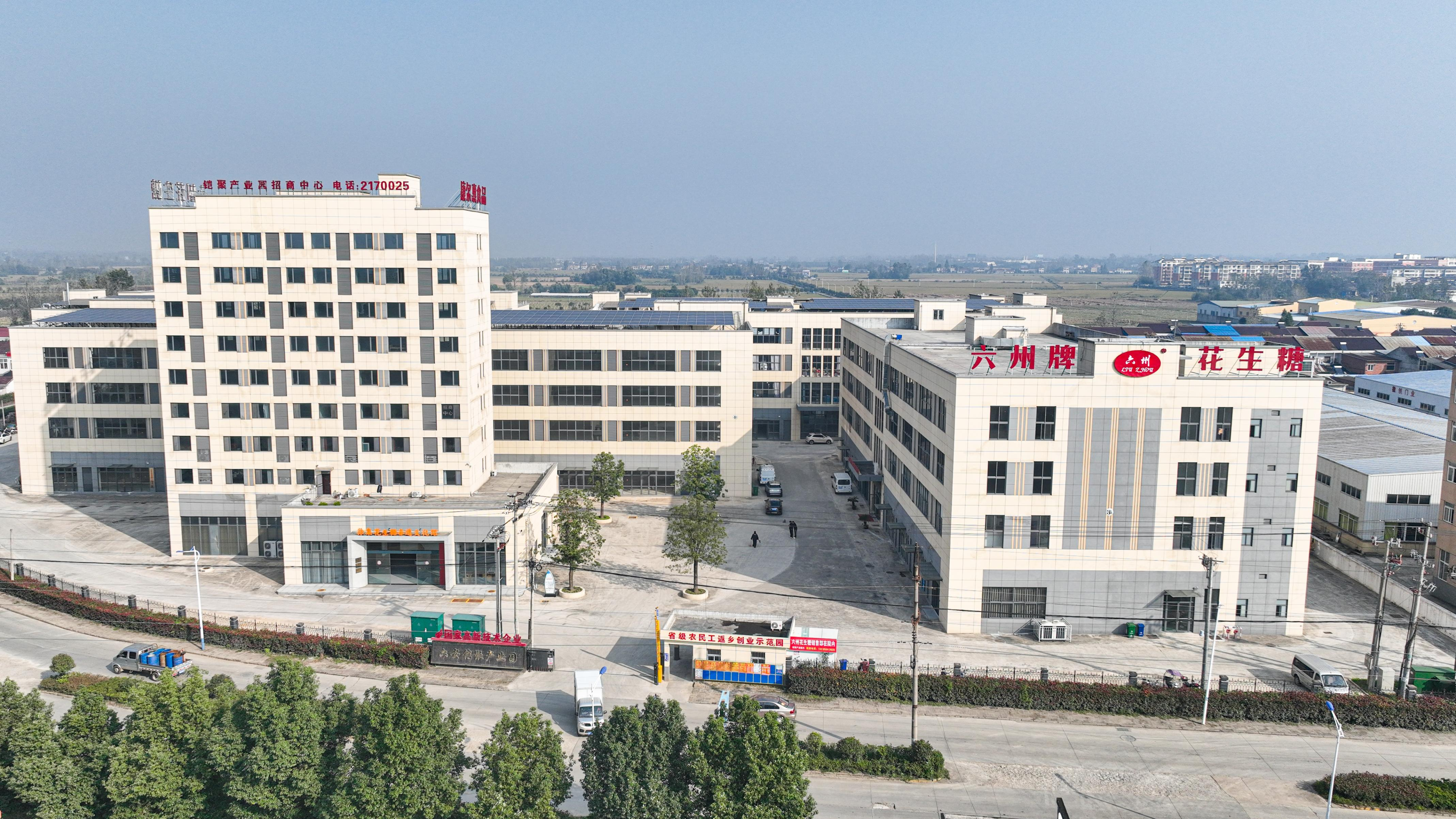 会员风采背景图