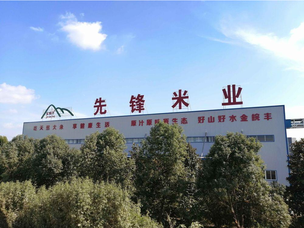 会员风采背景图