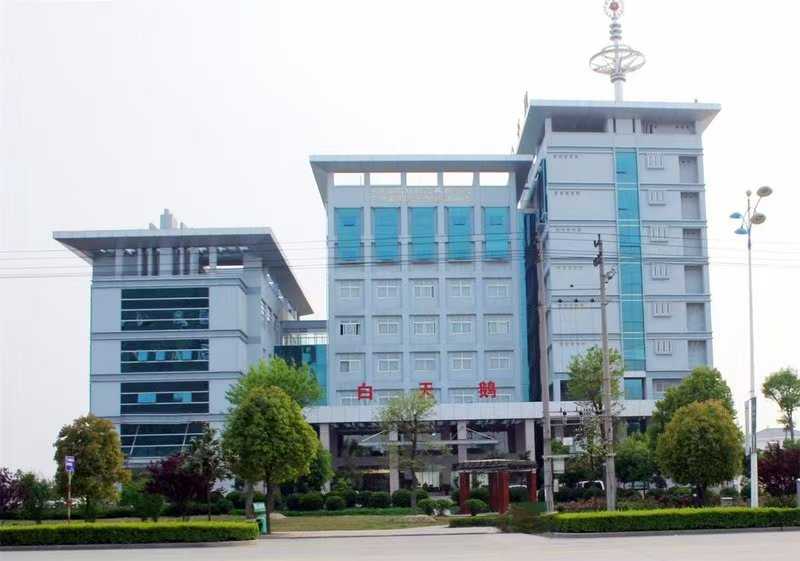 六安市白天鹅大酒店有限公司背景图