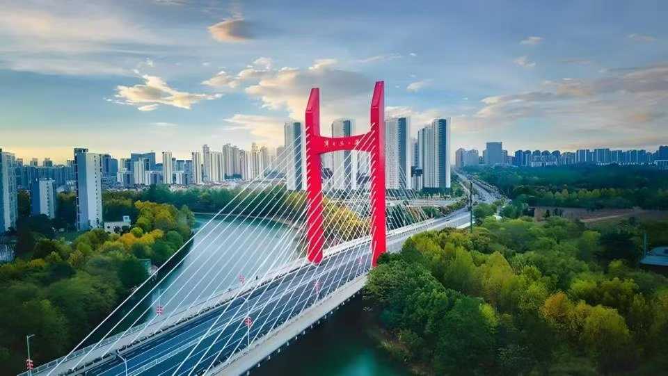 六安市食品安全行业协会背景图