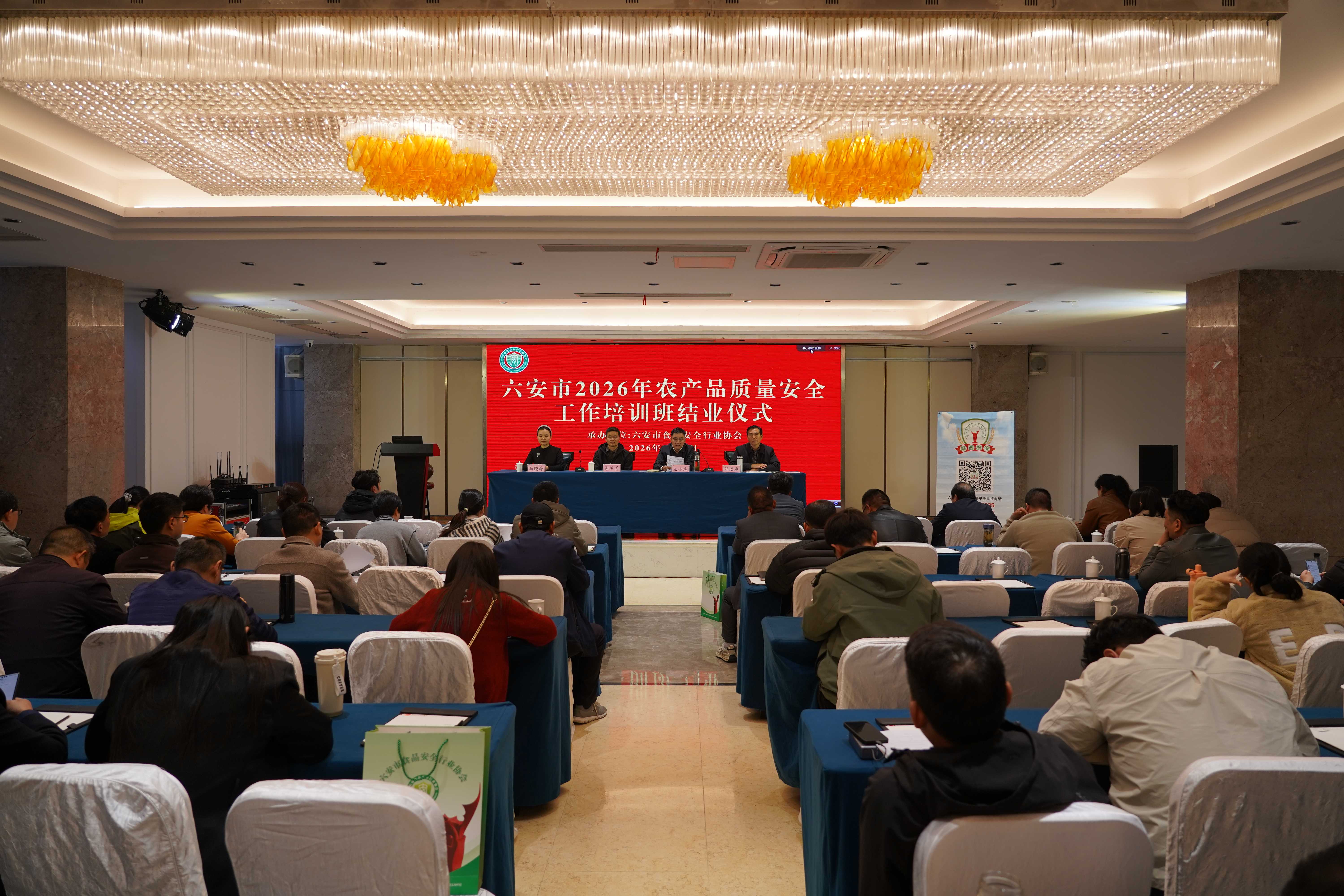 协会动态背景图